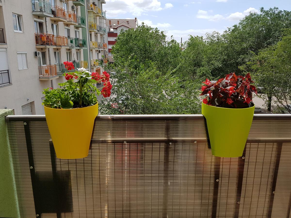 Apartman Boska Subotica Zewnętrze zdjęcie